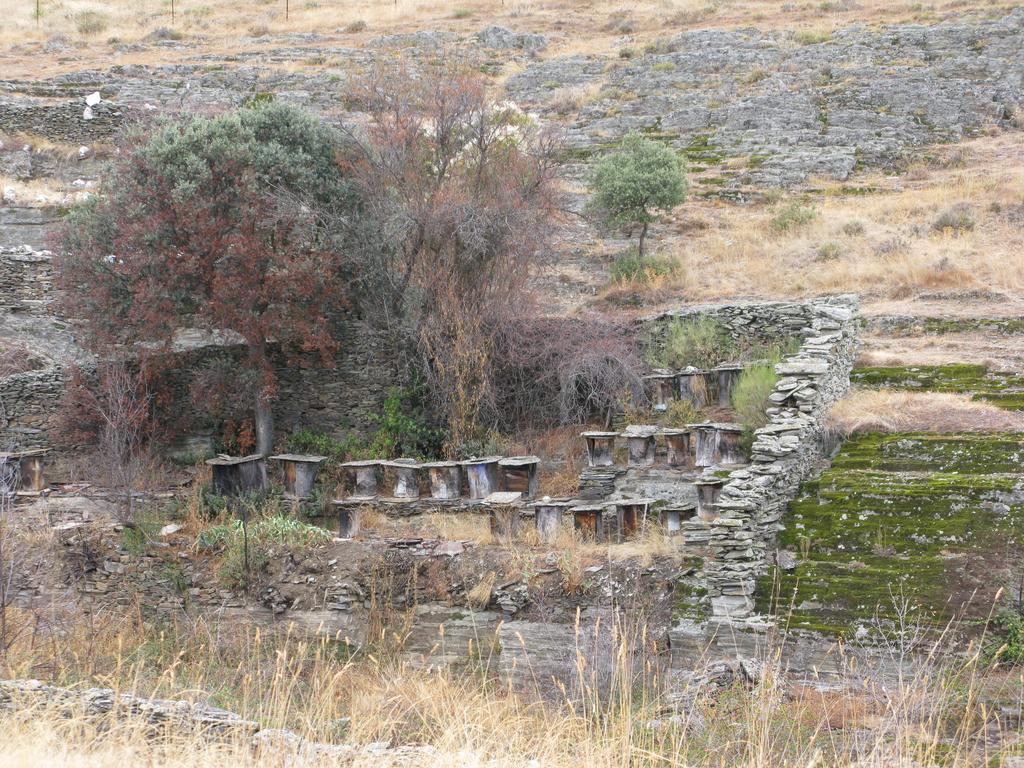 Hosteria Camino Luyego de Somoza Exteriör bild